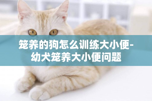 籠養的狗怎么訓練大小便-幼犬籠養大小便問題