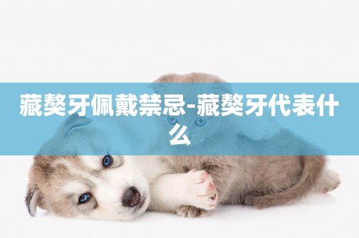藏獒牙佩戴禁忌-藏獒牙代表什么