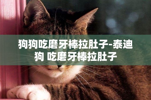 狗狗吃磨牙棒拉肚子-泰迪狗 吃磨牙棒拉肚子