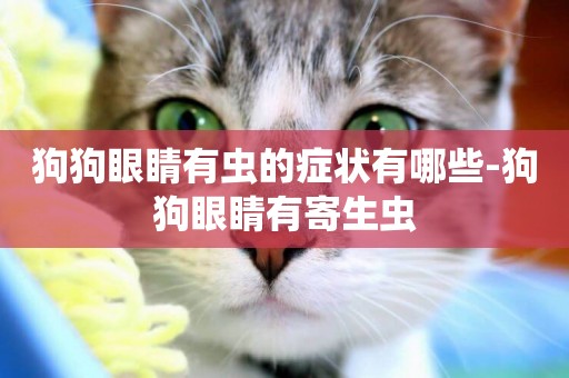 狗狗眼睛有蟲的癥狀有哪些-狗狗眼睛有寄生蟲