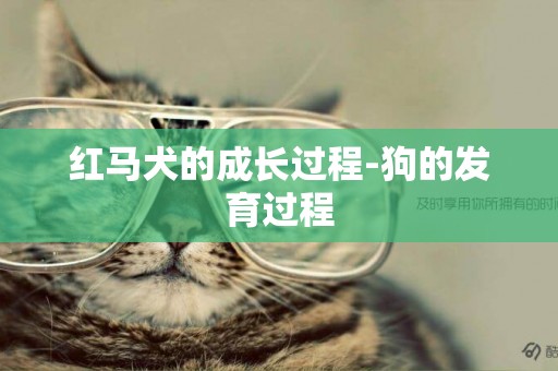 紅馬犬的成長過程-狗的發育過程