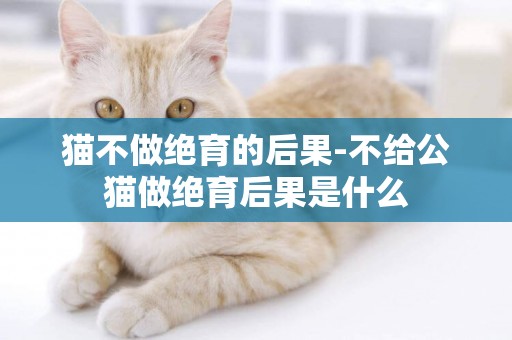 貓不做絕育的后果-不給公貓做絕育后果是什么
