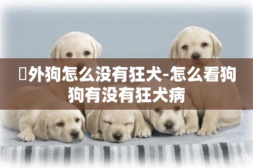 囯外狗怎么沒有狂犬-怎么看狗狗有沒有狂犬病