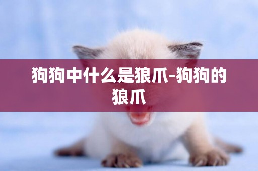狗狗中什么是狼爪-狗狗的狼爪