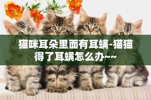 貓咪耳朵里面有耳螨-貓貓得了耳螨怎么辦~~