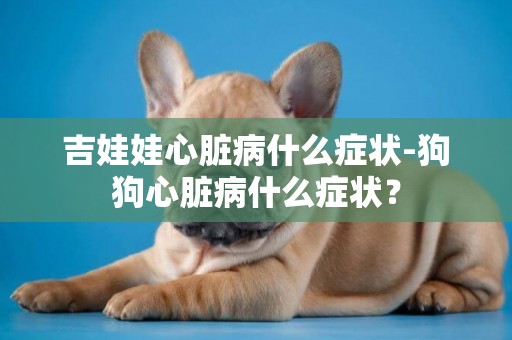 吉娃娃心臟病什么癥狀-狗狗心臟病什么癥狀？