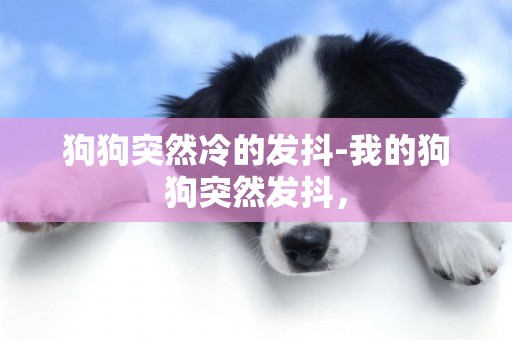 狗狗突然冷的發抖-我的狗狗突然發抖，
