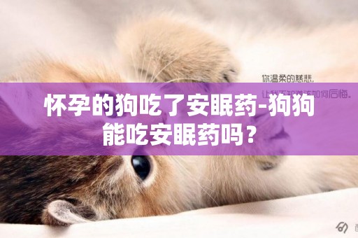 懷孕的狗吃了安眠藥-狗狗能吃安眠藥嗎？