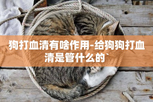 狗打血清有啥作用-給狗狗打血清是管什么的`