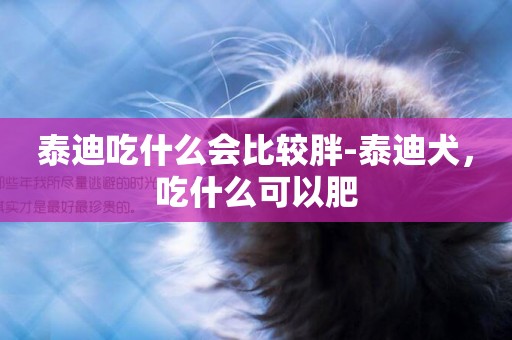 泰迪吃什么會比較胖-泰迪犬，吃什么可以肥