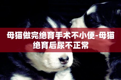 母貓做完絕育手術不小便-母貓絕育后尿不正常
