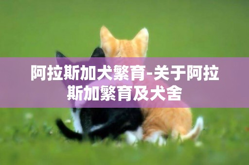 阿拉斯加犬繁育-關于阿拉斯加繁育及犬舍