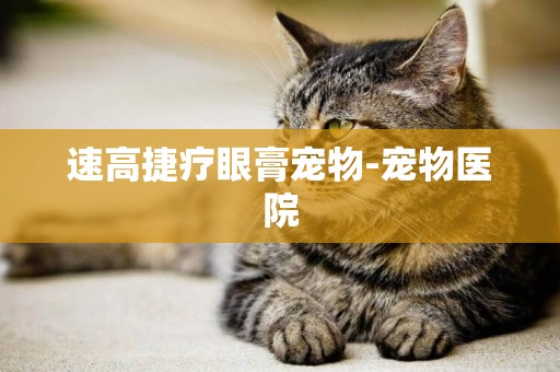 速高捷療眼膏寵物-寵物醫院