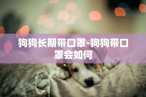 狗狗長期帶口罩-狗狗帶口罩會如何