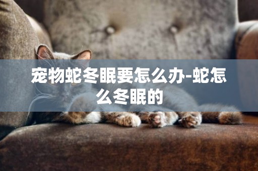 寵物蛇冬眠要怎么辦-蛇怎么冬眠的