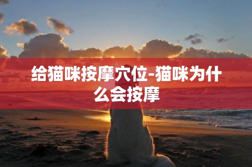 給貓咪按摩穴位-貓咪為什么會按摩