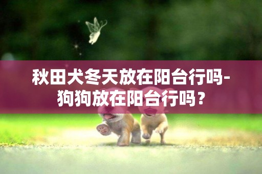秋田犬冬天放在陽臺行嗎-狗狗放在陽臺行嗎？