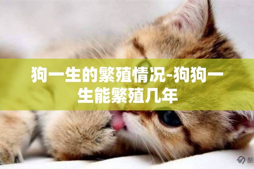 狗一生的繁殖情況-狗狗一生能繁殖幾年