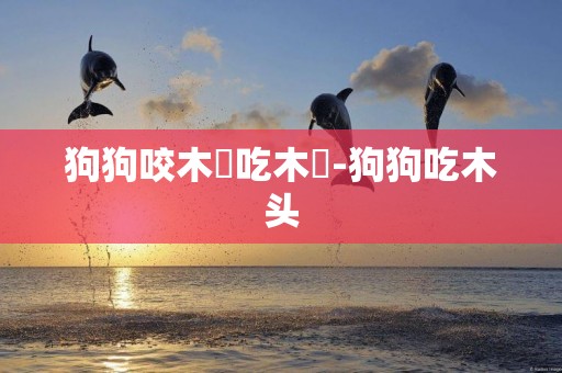 狗狗咬木頭吃木頭-狗狗吃木頭