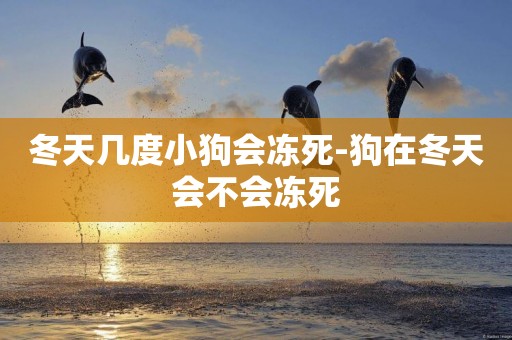 冬天幾度小狗會凍死-狗在冬天會不會凍死