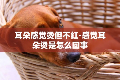 耳朵感覺燙但不紅-感覺耳朵燙是怎么回事