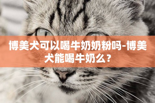 博美犬可以喝牛奶奶粉嗎-博美犬能喝牛奶么？