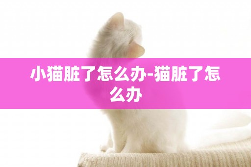 小貓臟了怎么辦-貓臟了怎么辦