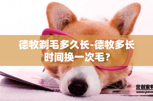 德牧剃毛多久長-德牧多長時間換一次毛？
