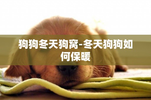 狗狗冬天狗窩-冬天狗狗如何保暖