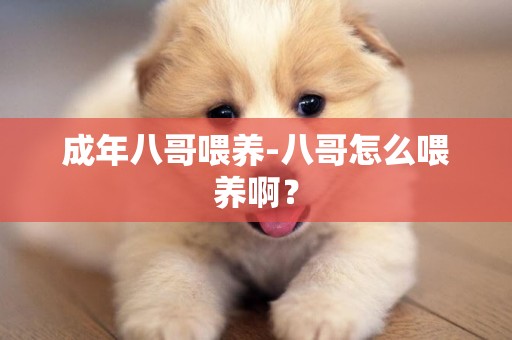 成年八哥喂養-八哥怎么喂養啊？