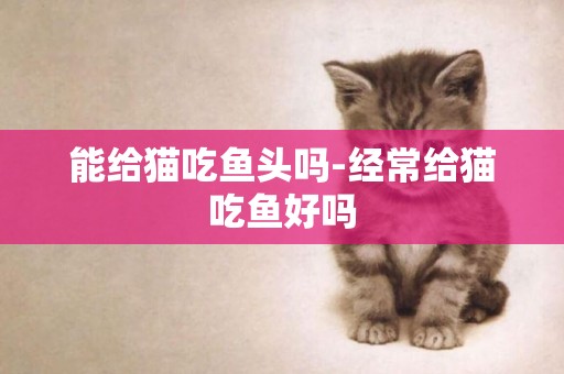 能給貓吃魚頭嗎-經常給貓吃魚好嗎