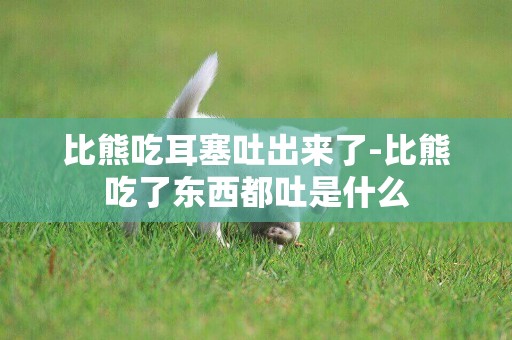 比熊吃耳塞吐出來了-比熊吃了東西都吐是什么