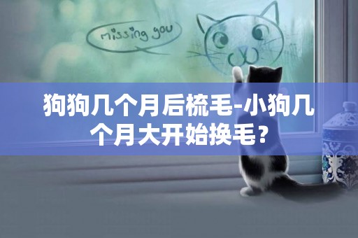 狗狗幾個月后梳毛-小狗幾個月大開始換毛？