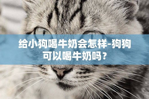 給小狗喝牛奶會怎樣-狗狗可以喝牛奶嗎？