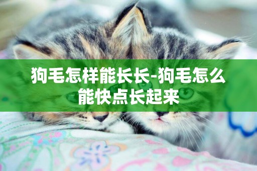 狗毛怎樣能長長-狗毛怎么能快點長起來
