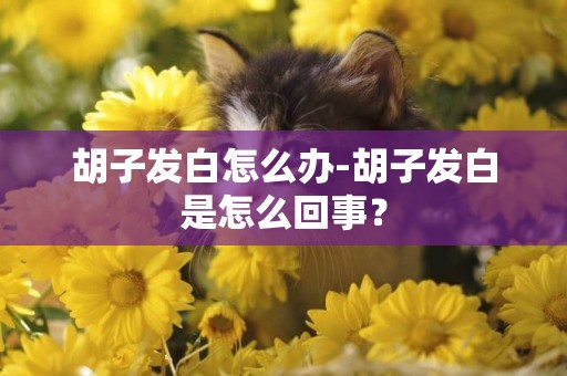 胡子發白怎么辦-胡子發白是怎么回事？