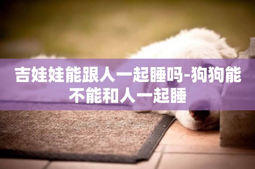 吉娃娃能跟人一起睡嗎-狗狗能不能和人一起睡