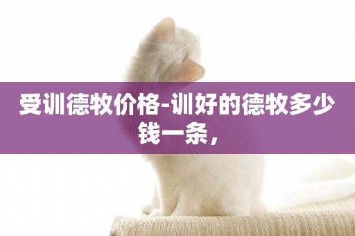 受訓德牧價格-訓好的德牧多少錢一條，
