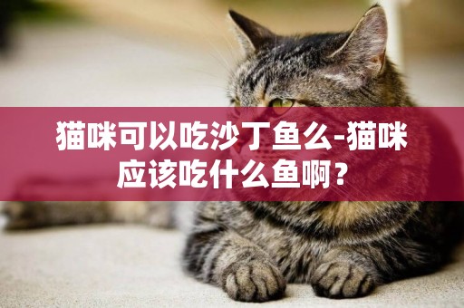 貓咪可以吃沙丁魚么-貓咪應該吃什么魚啊？