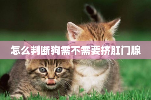 怎么判斷狗需不需要擠肛門腺