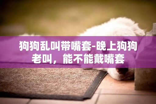 狗狗亂叫帶嘴套-晚上狗狗老叫，能不能戴嘴套
