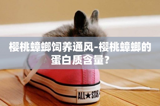 櫻桃蟑螂飼養通風-櫻桃蟑螂的蛋白質含量？