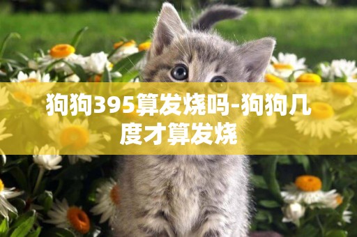 狗狗395算發燒嗎-狗狗幾度才算發燒