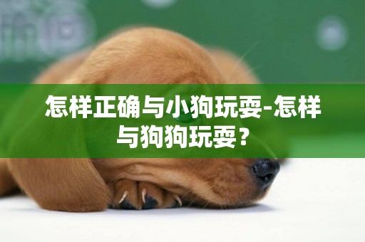 怎樣正確與小狗玩耍-怎樣與狗狗玩耍？