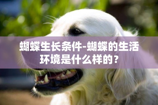 蝴蝶生長條件-蝴蝶的生活環境是什么樣的？