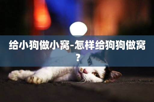 給小狗做小窩-怎樣給狗狗做窩？