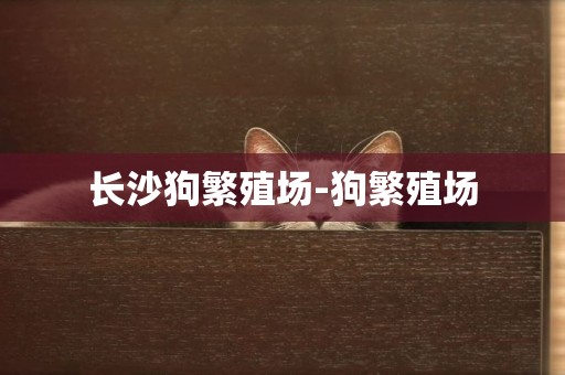 長沙狗繁殖場-狗繁殖場