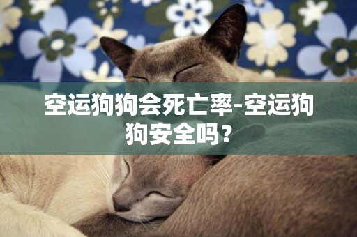 空運狗狗會死亡率-空運狗狗安全嗎？