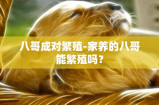八哥成對繁殖-家養的八哥能繁殖嗎？
