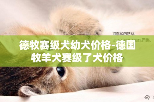 德牧賽級犬幼犬價格-德國牧羊犬賽級了犬價格